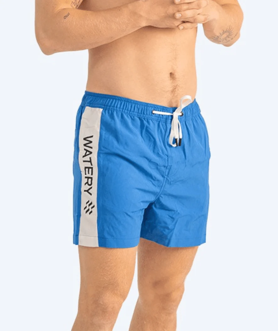 Miniatyr 1