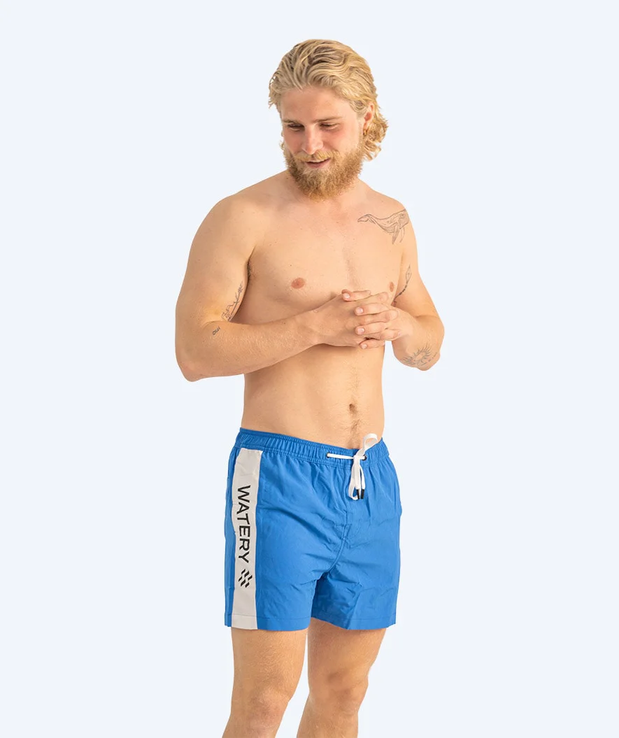 Miniatyr 2