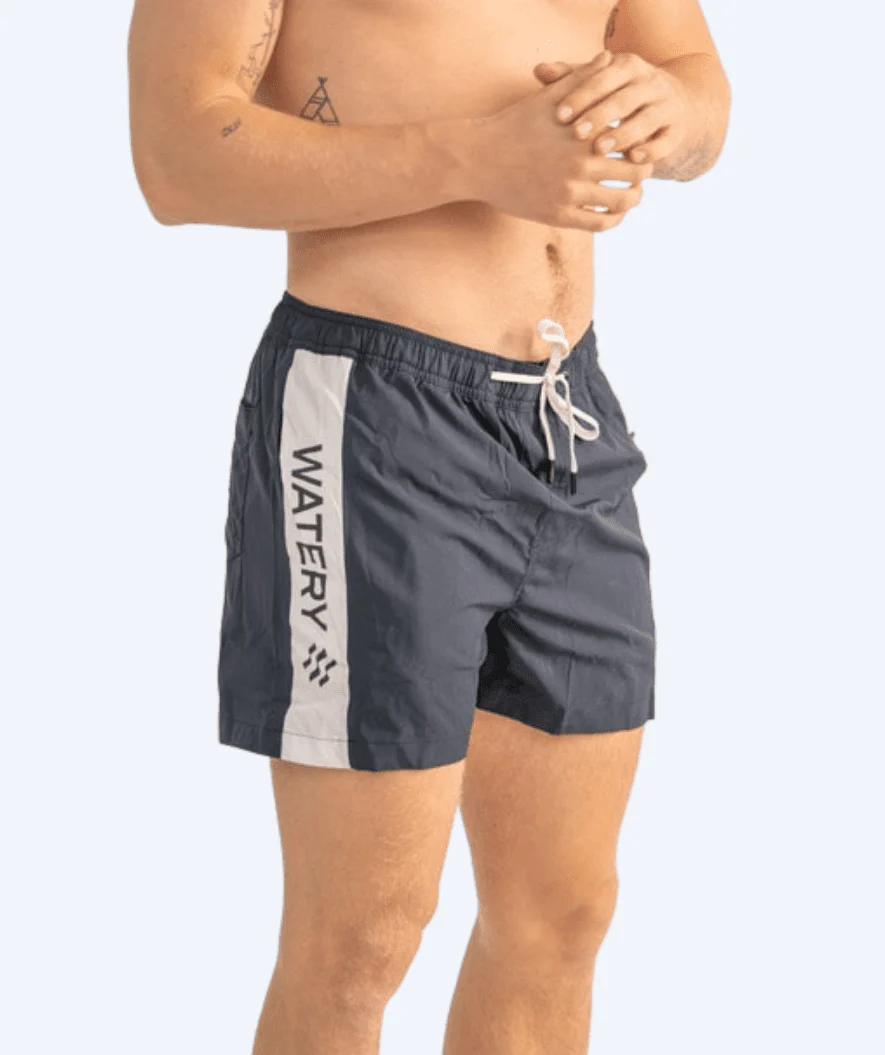 Miniatyr 1
