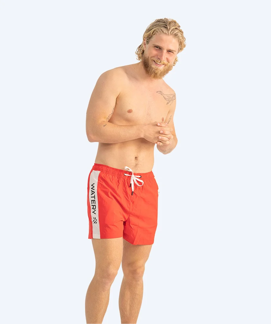 Miniatyr 2